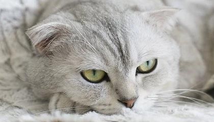 0149图库-理性提醒-收藏入口-专题页(含术语速查),2019图库大全5334