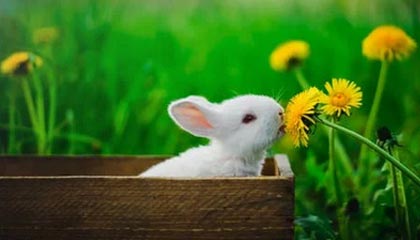 118图库-概率科普-多时间窗-按需筛选(口径说明)