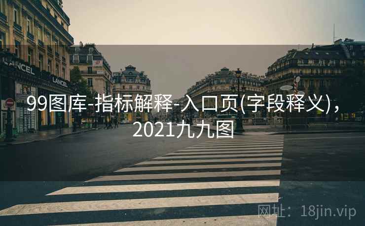99图库-指标解释-入口页(字段释义)，2021九九图